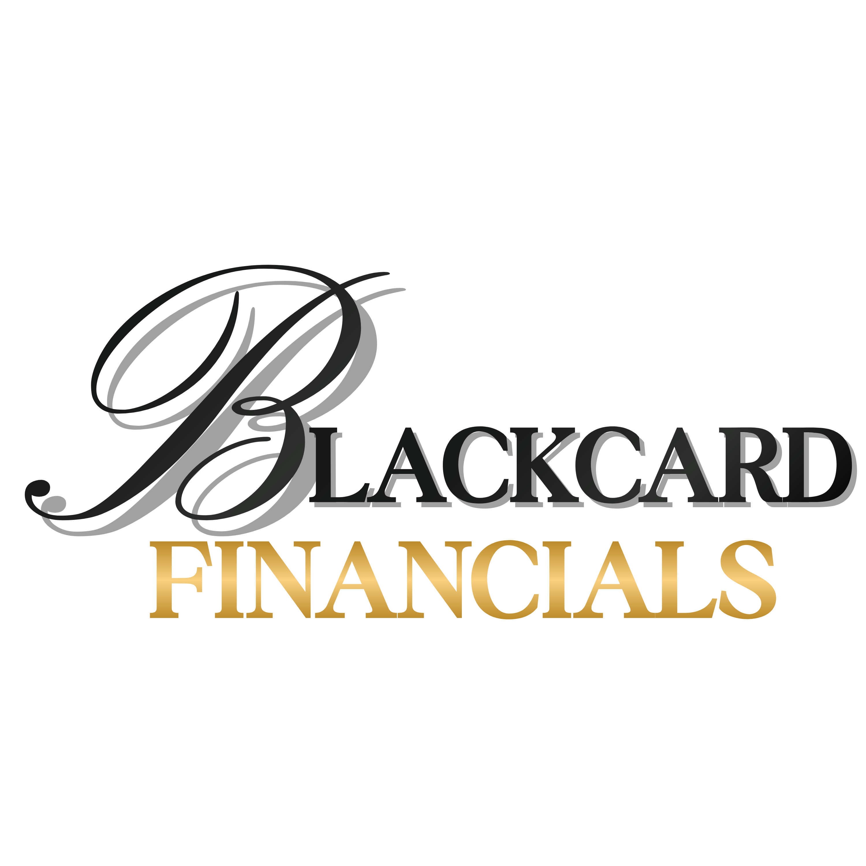 Copy of Tax Pro Logo template (1)